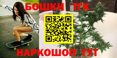 СК Краснознаменск