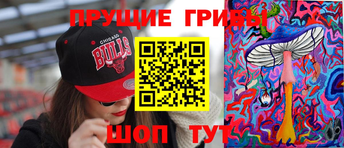 Галлюциногенные грибы Psilocybine cubensis  Галлюциногенные грибы Cubensis  Кольчугино  Вход с VPN 