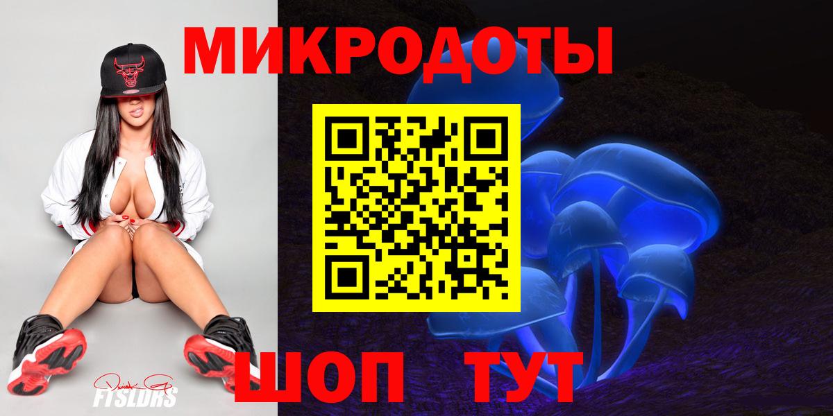 Псилоцибиновые грибы Psilocybe Кольчугино